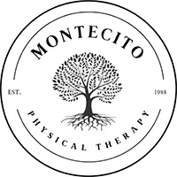 Physical Therapist Services